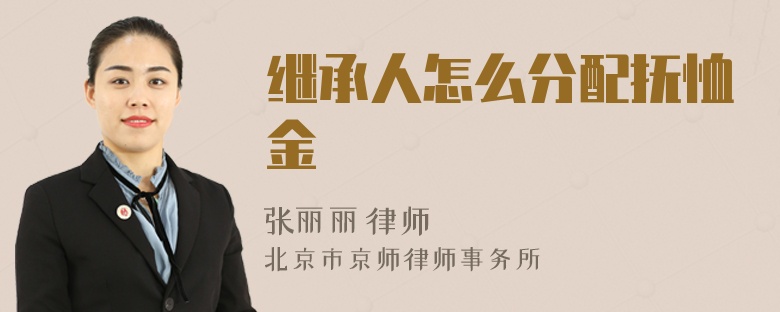 继承人怎么分配抚恤金