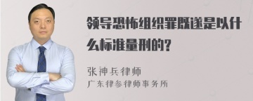 领导恐怖组织罪既遂是以什么标准量刑的?