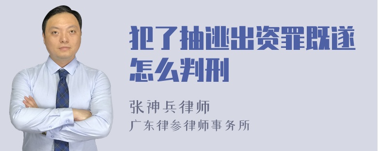 犯了抽逃出资罪既遂怎么判刑