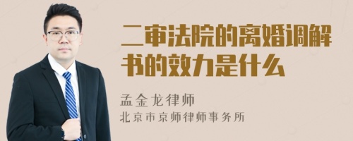 二审法院的离婚调解书的效力是什么