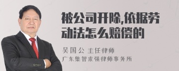 被公司开除,依据劳动法怎么赔偿的