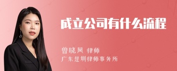 成立公司有什么流程