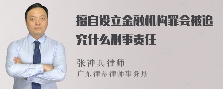 擅自设立金融机构罪会被追究什么刑事责任