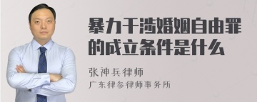 暴力干涉婚姻自由罪的成立条件是什么