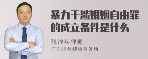 暴力干涉婚姻自由罪的成立条件是什么