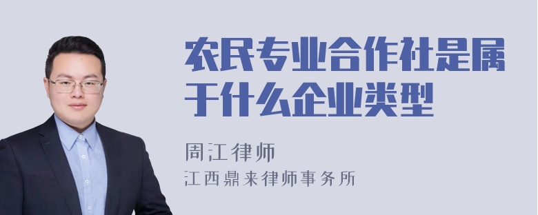 农民专业合作社是属于什么企业类型