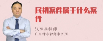 民初案件属于什么案件