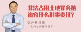 非法占用土地罪会被追究什么刑事责任?