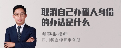 取消自己办税人身份的办法是什么