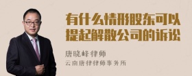 有什么情形股东可以提起解散公司的诉讼