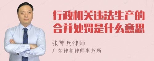 行政机关违法生产的合并处罚是什么意思