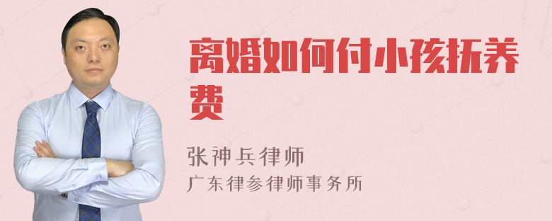 离婚如何付小孩抚养费