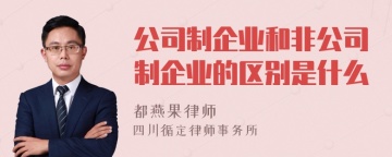 公司制企业和非公司制企业的区别是什么