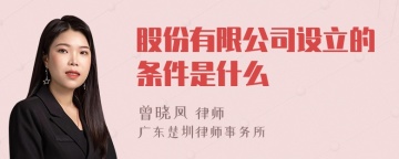 股份有限公司设立的条件是什么