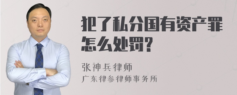 犯了私分国有资产罪怎么处罚?