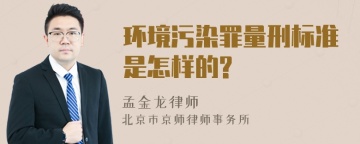 环境污染罪量刑标准是怎样的?