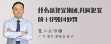 什么是犯罪集团,共同犯罪的主犯如何处罚