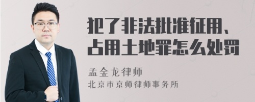 犯了非法批准征用、占用土地罪怎么处罚