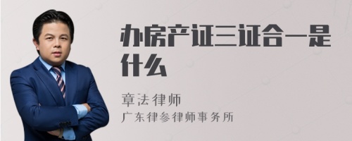 办房产证三证合一是什么