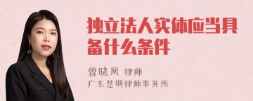 独立法人实体应当具备什么条件