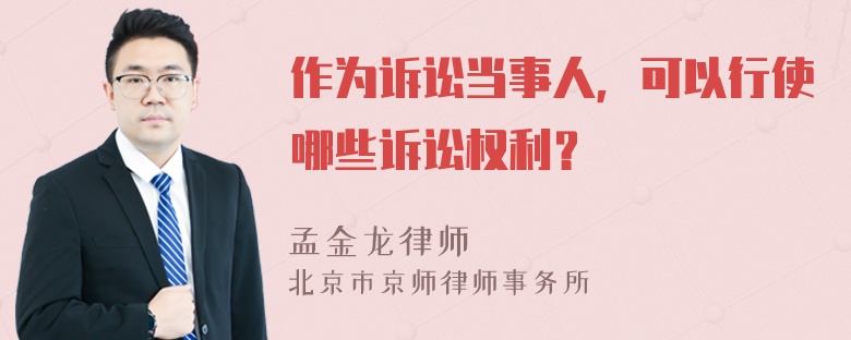 作为诉讼当事人，可以行使哪些诉讼权利？