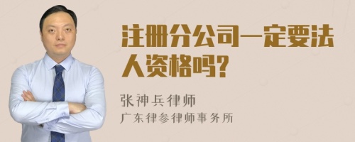 注册分公司一定要法人资格吗?