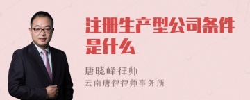 注册生产型公司条件是什么