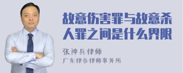 故意伤害罪与故意杀人罪之间是什么界限