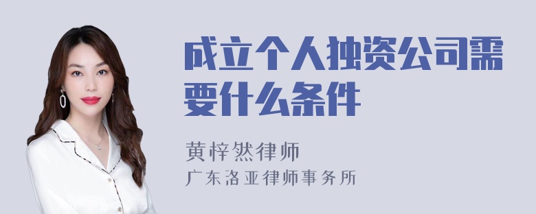 成立个人独资公司需要什么条件