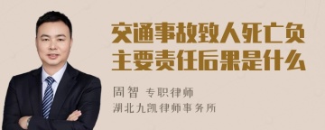 交通事故致人死亡负主要责任后果是什么