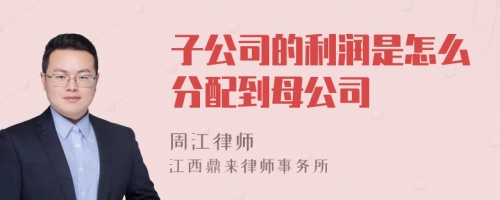 子公司的利润是怎么分配到母公司