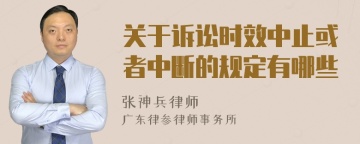 关于诉讼时效中止或者中断的规定有哪些