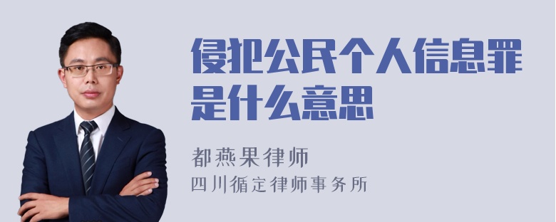 侵犯公民个人信息罪是什么意思