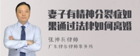 妻子有精神分裂症如果通过法律如何离婚