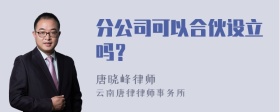 分公司可以合伙设立吗？