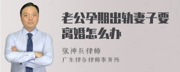 老公孕期出轨妻子要离婚怎么办