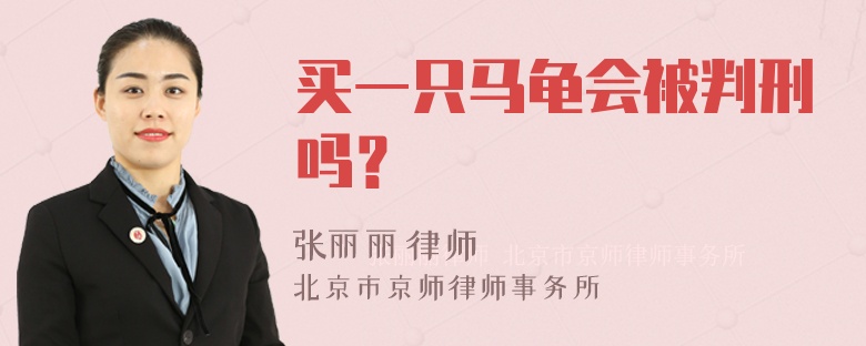 买一只马龟会被判刑吗？