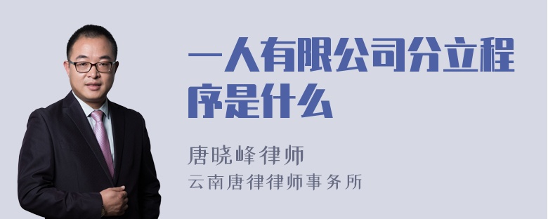 一人有限公司分立程序是什么