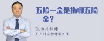 五险一金是指哪五险一金？