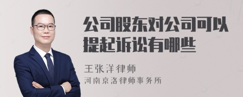 公司股东对公司可以提起诉讼有哪些