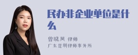 民办非企业单位是什么