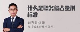 什么是职务侵占量刑标准