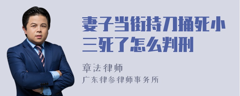 妻子当街持刀捅死小三死了怎么判刑