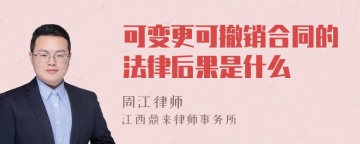 可变更可撤销合同的法律后果是什么