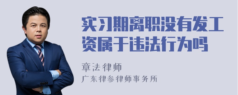 实习期离职没有发工资属于违法行为吗