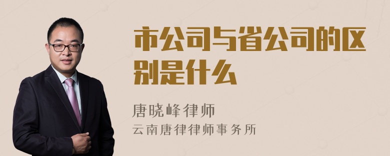 市公司与省公司的区别是什么