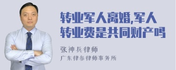 转业军人离婚,军人转业费是共同财产吗