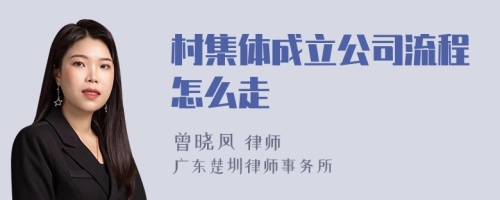 村集体成立公司流程怎么走