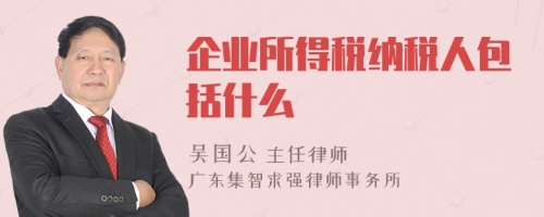 企业所得税纳税人包括什么