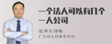 一个法人可以有几个一人公司